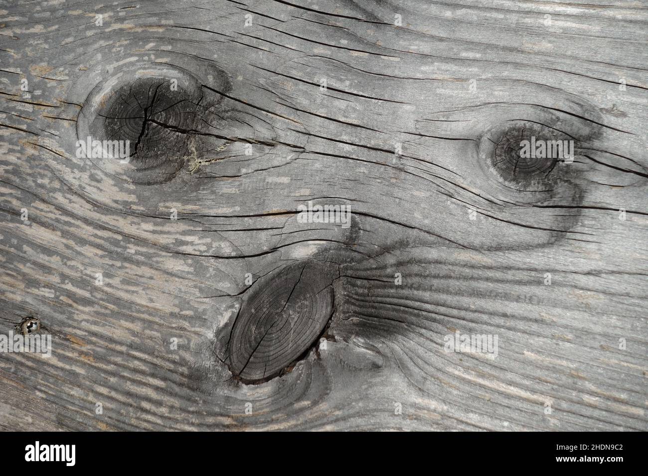 wood, wood grain, knotted wood, woodland, woodlands, woods, wood grains