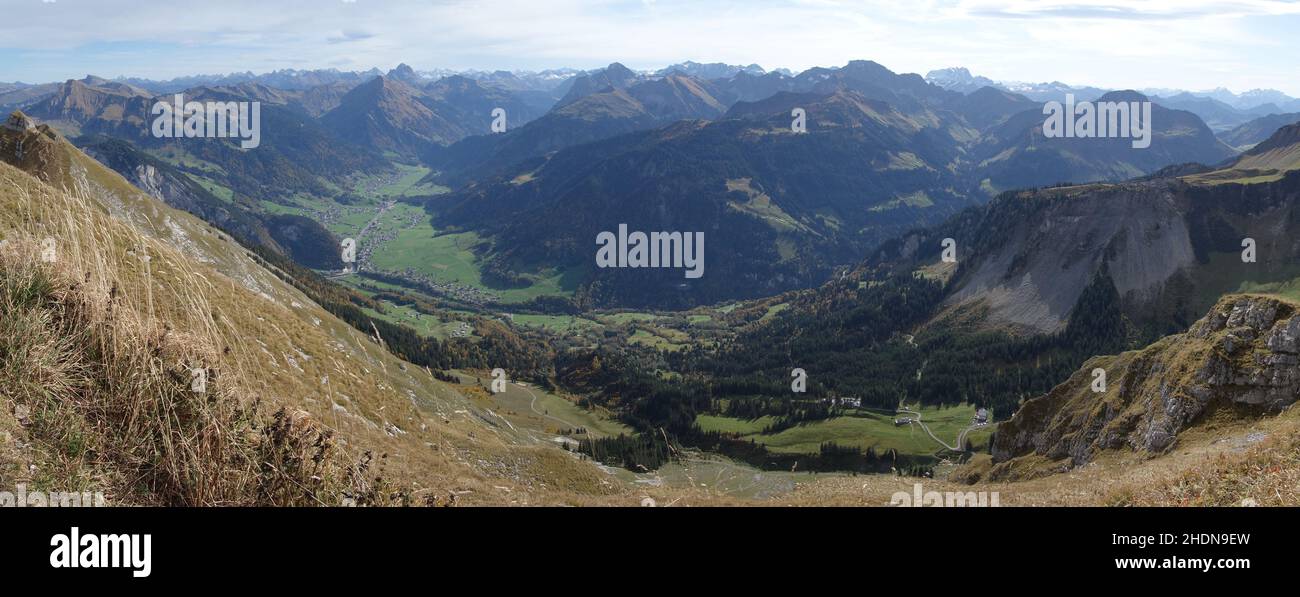 Woods panoramic panorama panoramas hi-res stock photography and images ...