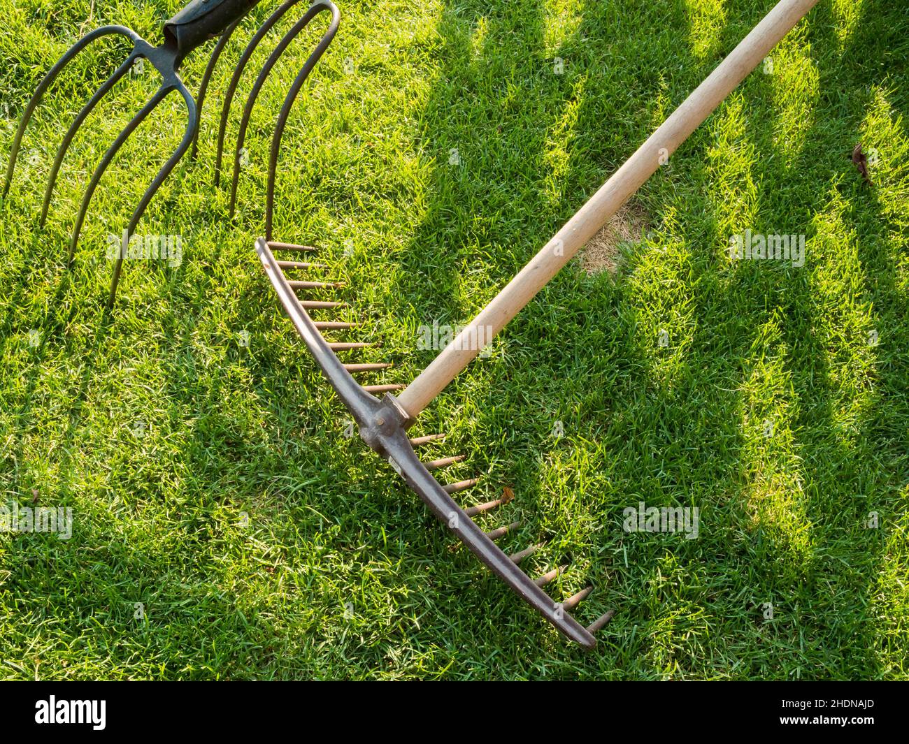 pitchfork, garden rake, pitchforks Stock Photo Alamy