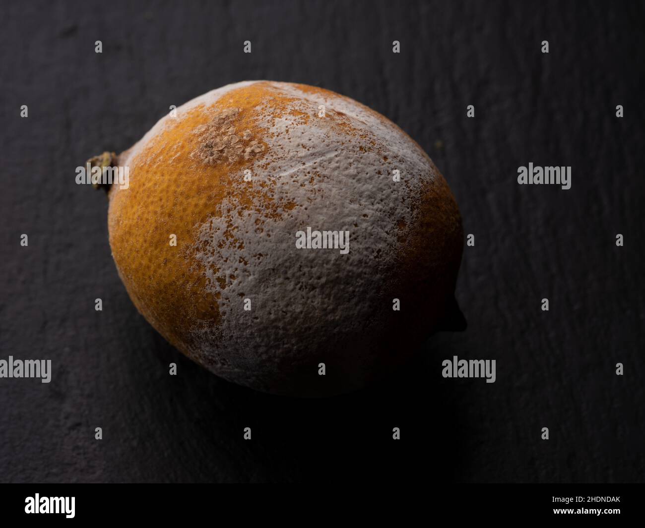 mold, lemon, molding, molds, rising damp, lemons Stock Photo Alamy