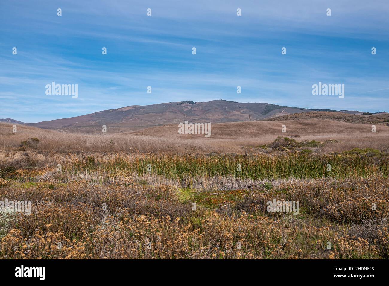 Lompoc, California, USA - November 19, 3021: Back country of Jalama Beach. Dry green-yellow, hilly landscape under blue cloudscape with green reed in Stock Photo