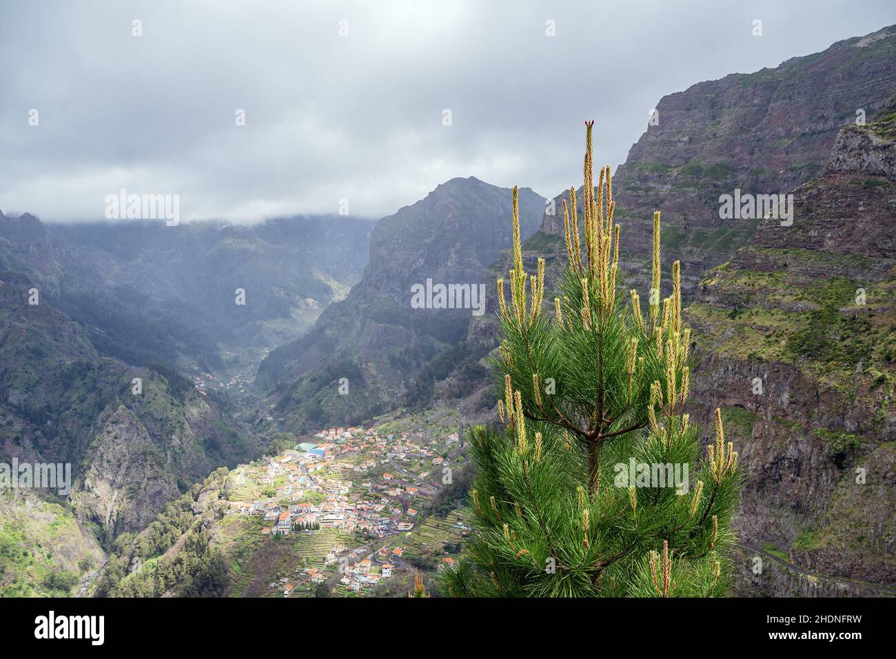 madeira, madeiras Stock Photo