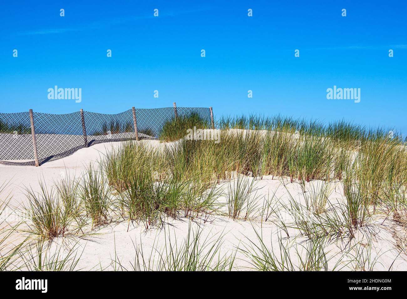 fence, barrier, dune, dune protection, fences, barriers, dunes, dune