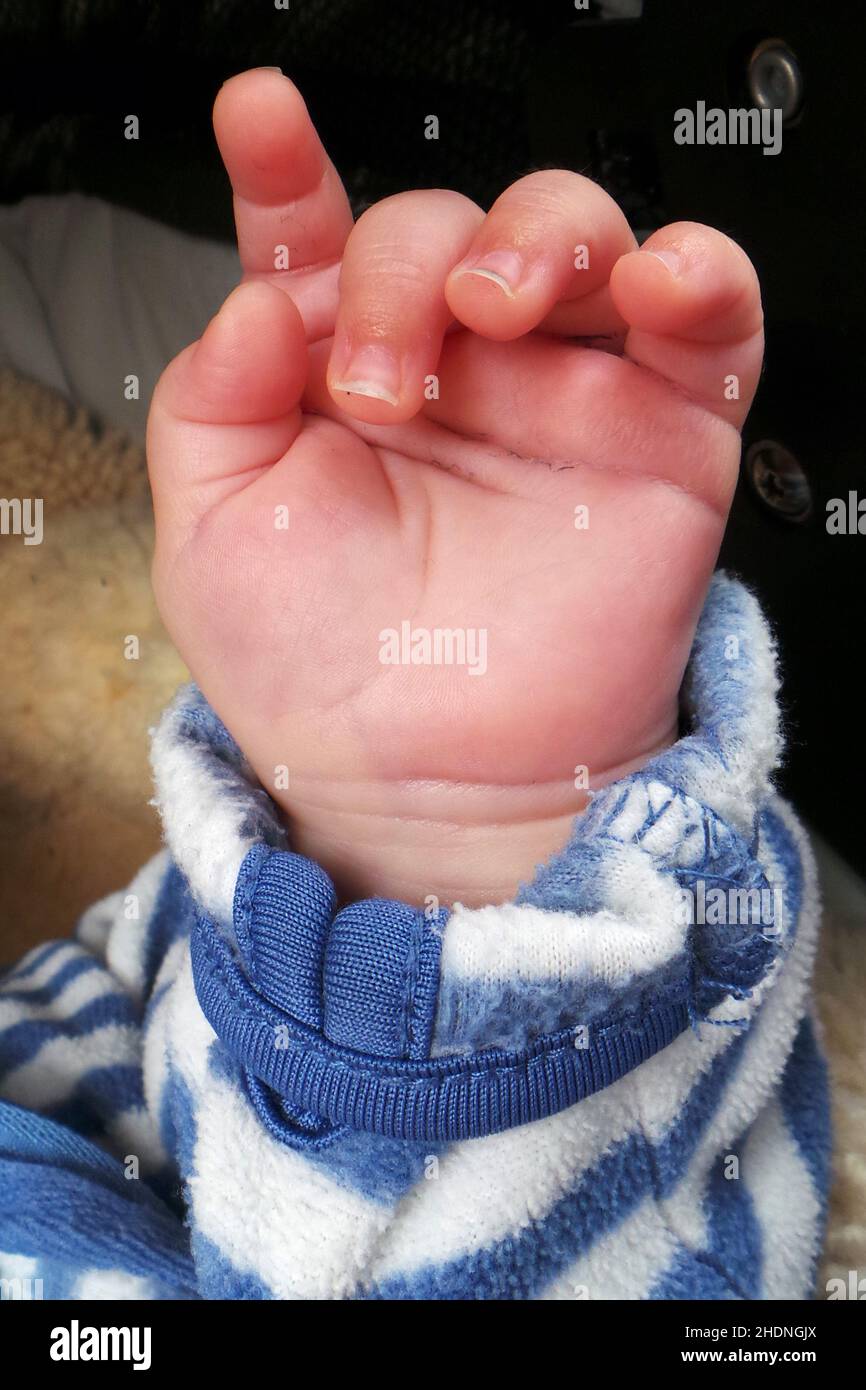 baby, hand, babe, babies, human babies, hands Stock Photo Alamy