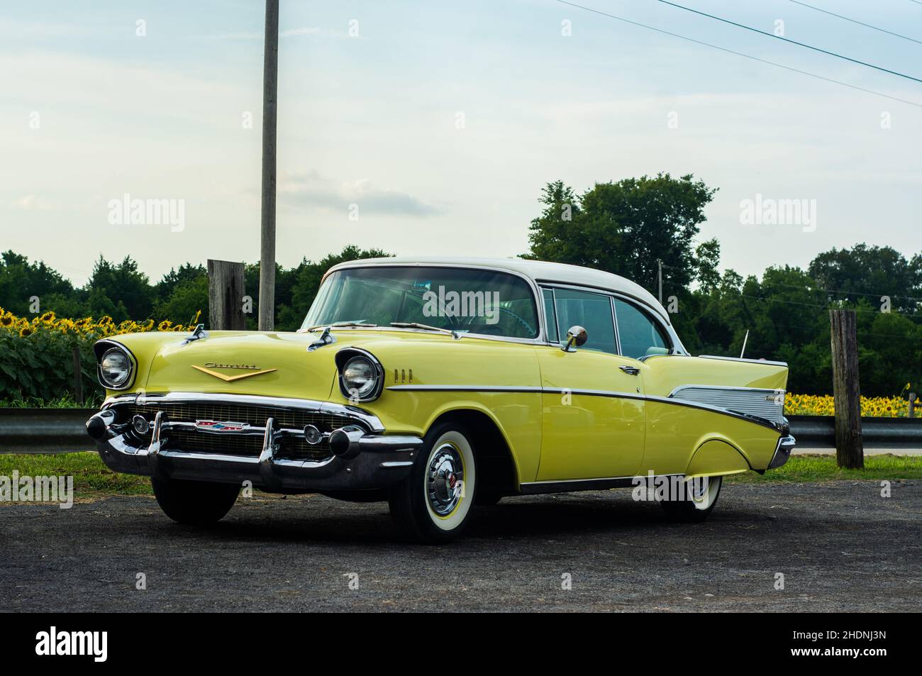 1957 Chevrolet Bel Air in front of Sunflower Fields Stock Photo
