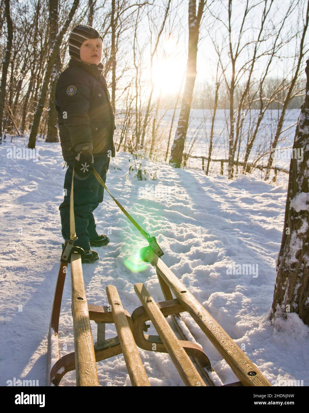 boy, sleigh, boys, sleighs Stock Photo Alamy