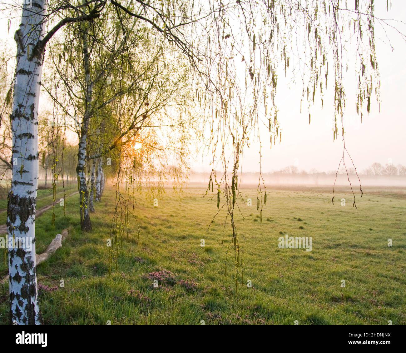Morning moods hi-res stock photography and images - Alamy
