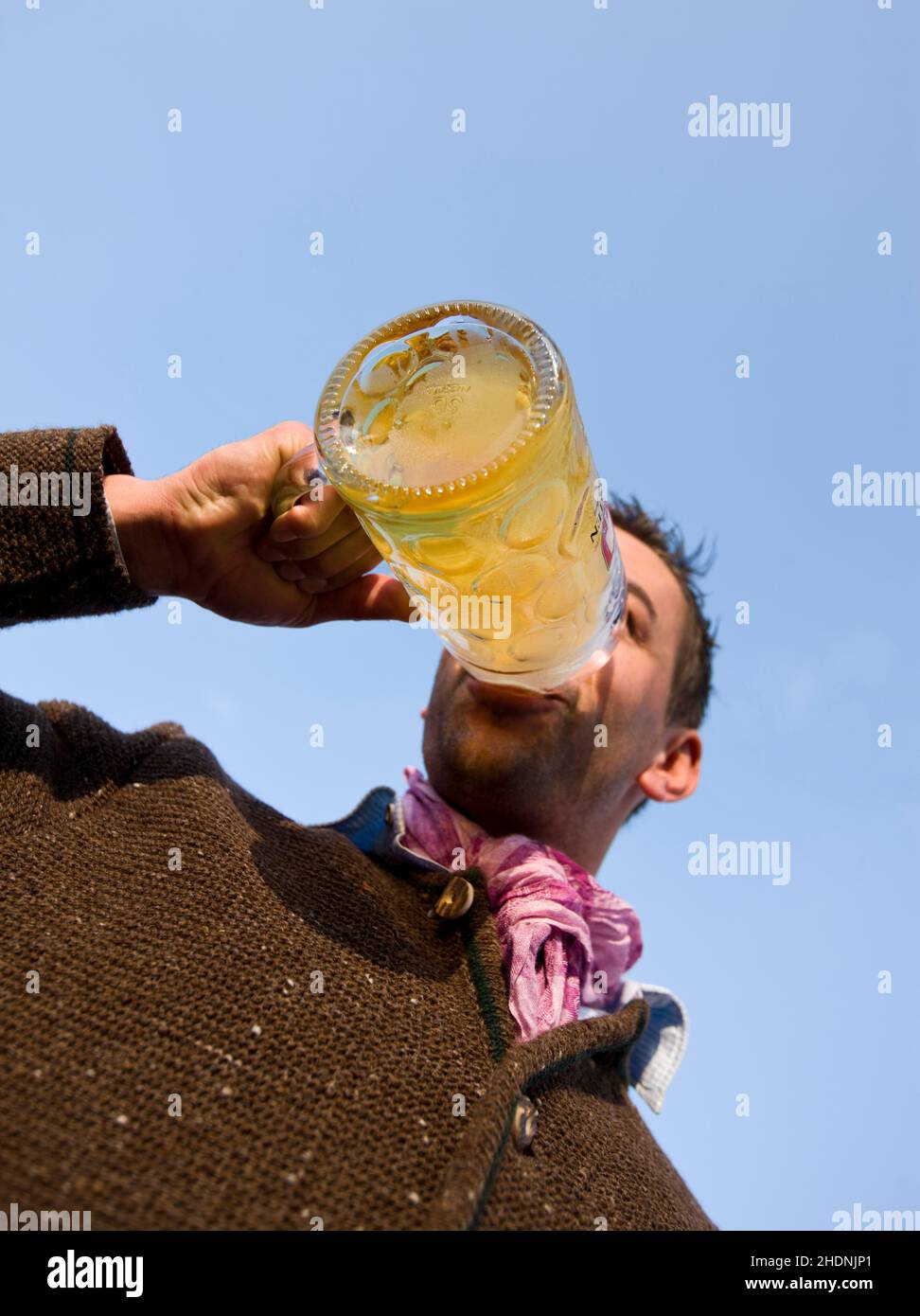 drinking, beer, stein, to drink, beers, steins Stock Photo Alamy