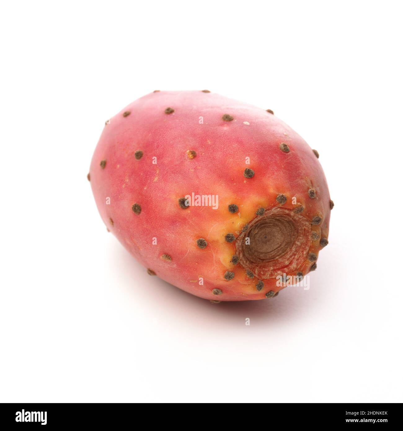 prickly pear fruit, prickly pear fruits Stock Photo Alamy