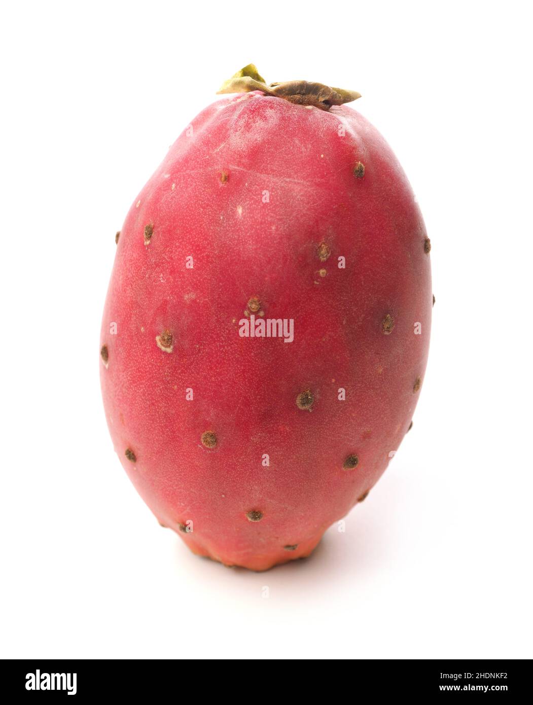 prickly pear fruit, prickly pear fruits Stock Photo Alamy