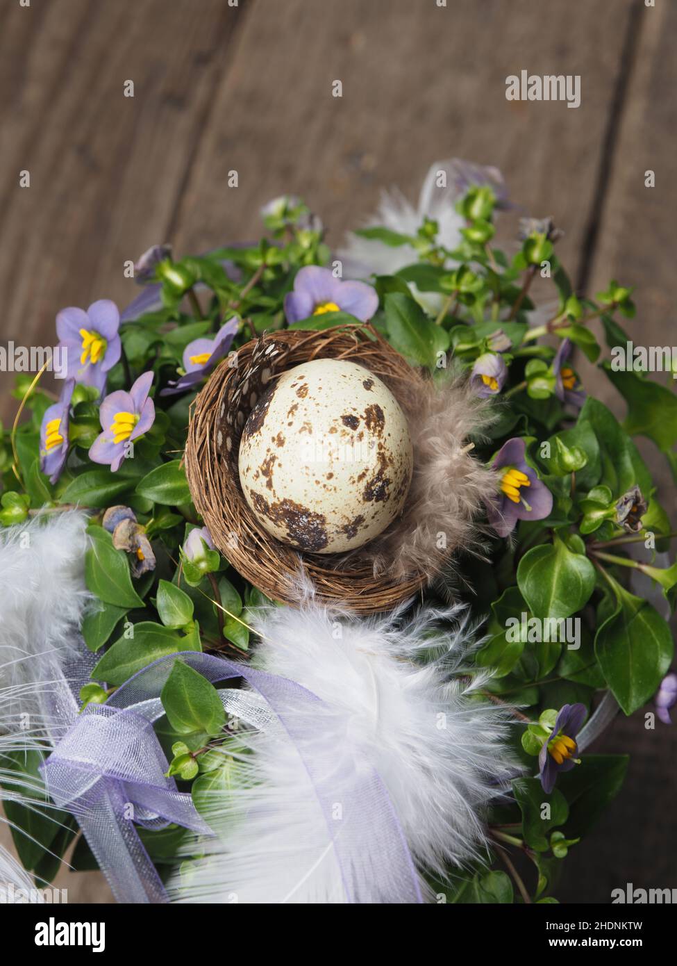 decoration, quail, decorations, quails Stock Photo