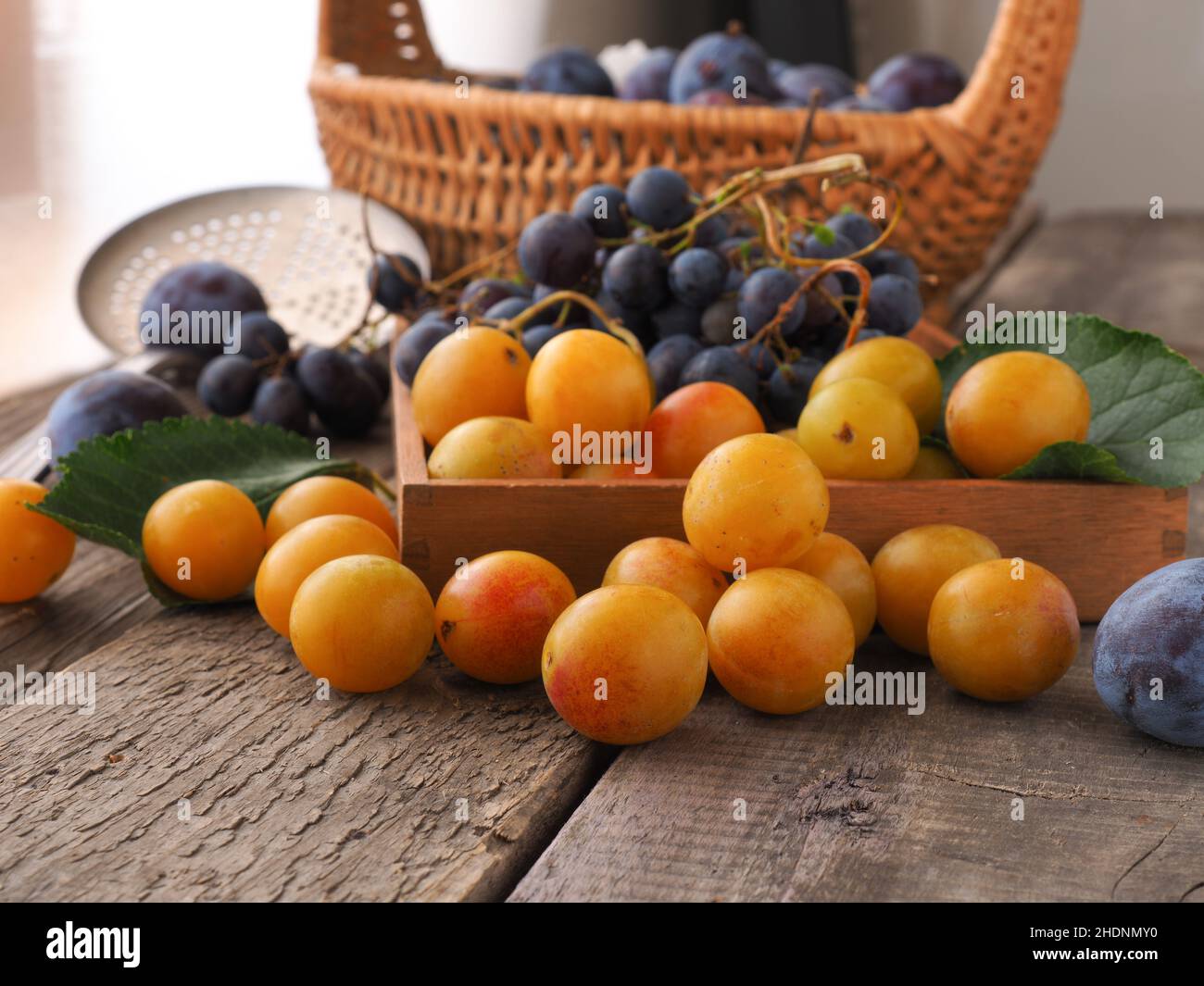 harvest, plums, harvests, plum Stock Photo Alamy