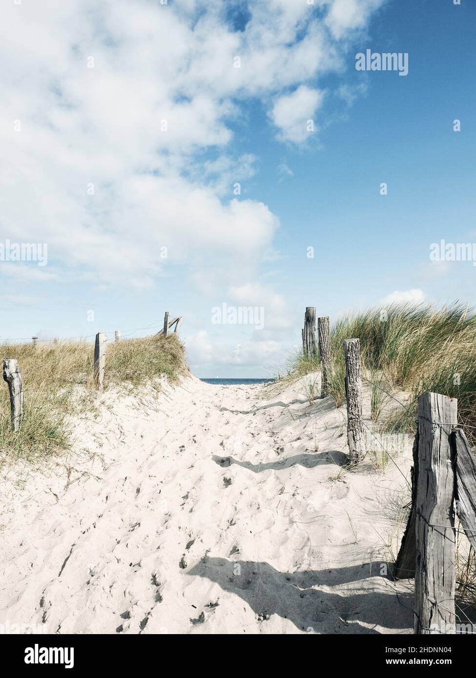 Baltic sea beach path hi-res stock photography and images - Alamy
