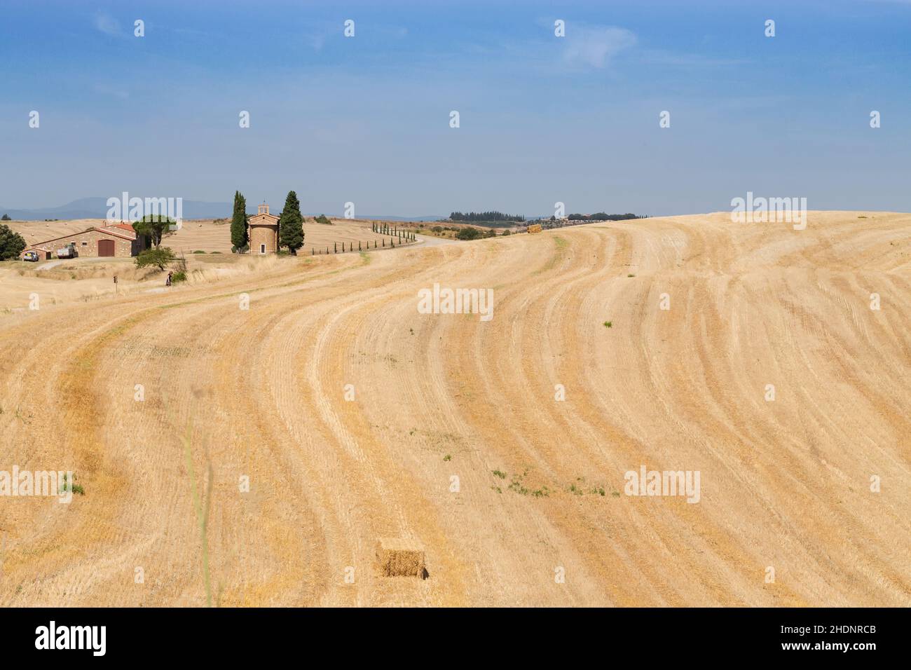 field, farmland, tuscany, fields, farmlands, tuscanies Stock Photo