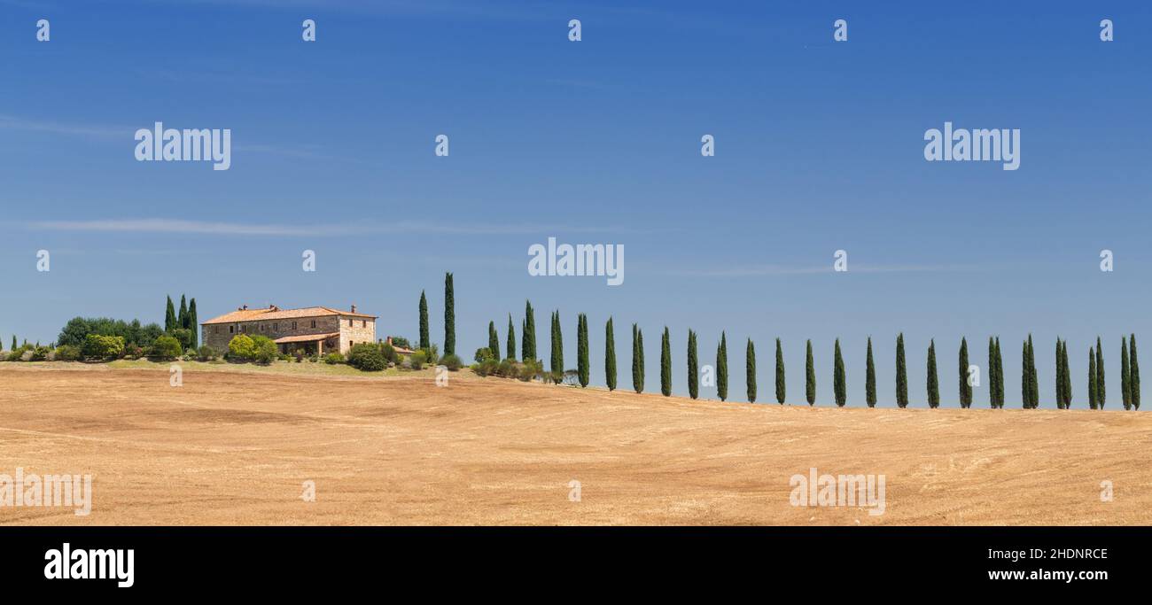 farm, tuscany, cypress, farms, homestead, tuscanies Stock Photo