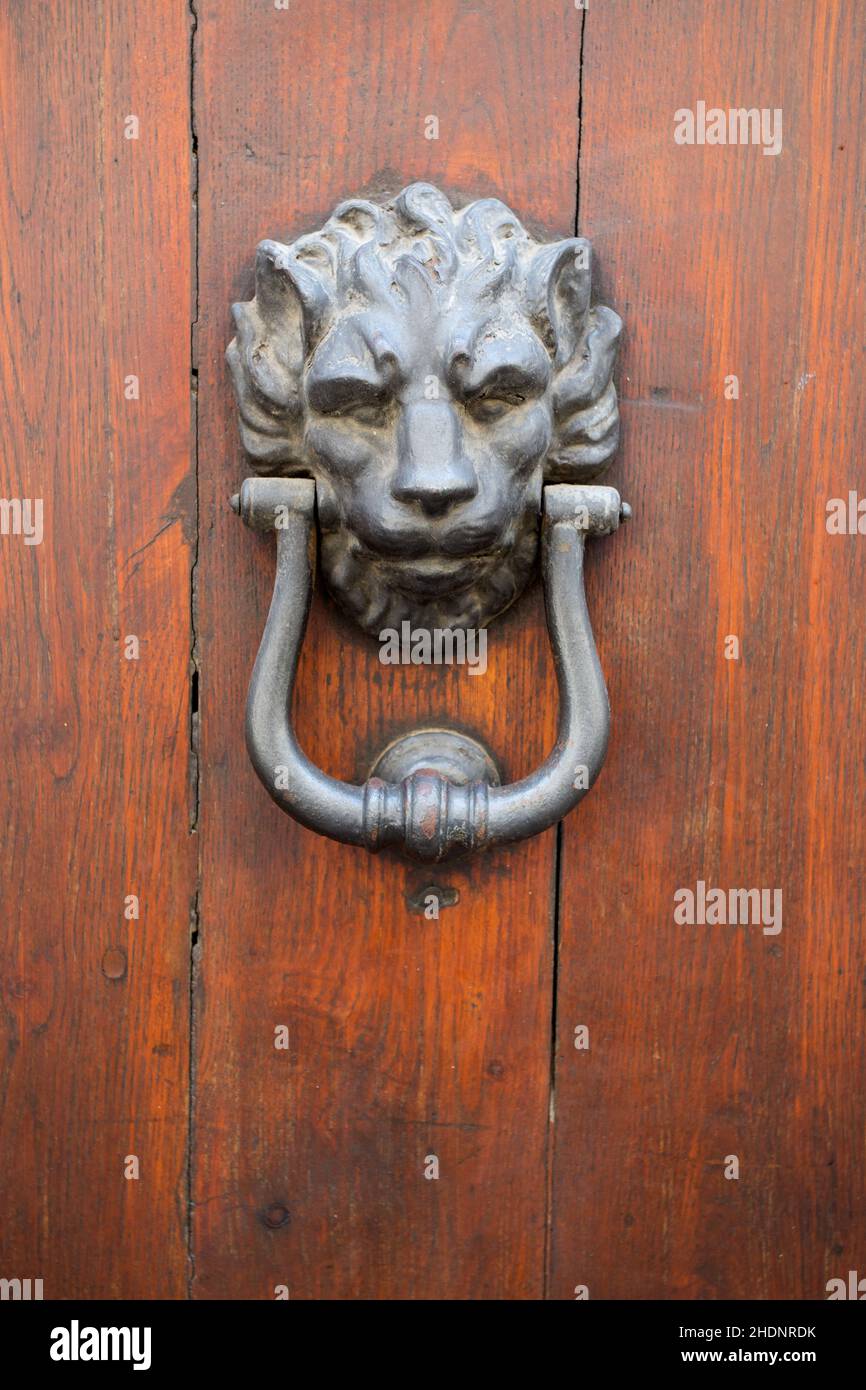18th Century Italian Cast Iron Door Knocker Antique Lion Head Florentine Style 
