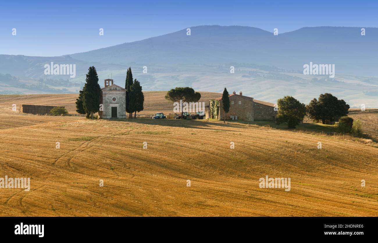 farming, tuscany, cypress, mediterran, tuscanies, mediterrans Stock Photo