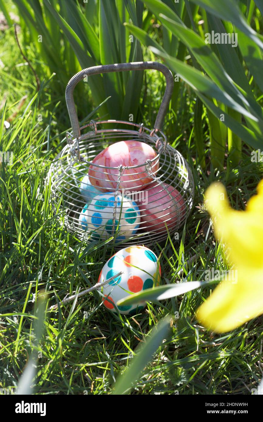 easter, easter egg hunt, easter eggs hidden, easters, easter egg hunts Stock Photo