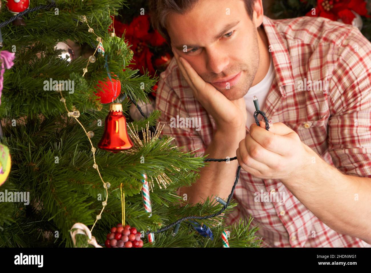 man, christmas lights, christmas tree, guy, men, christmas light