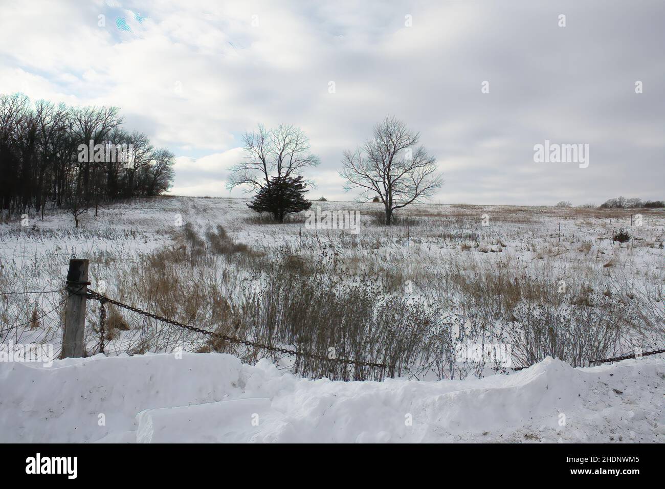 Snowy landscape with a fence post and chain and two trees in the ...