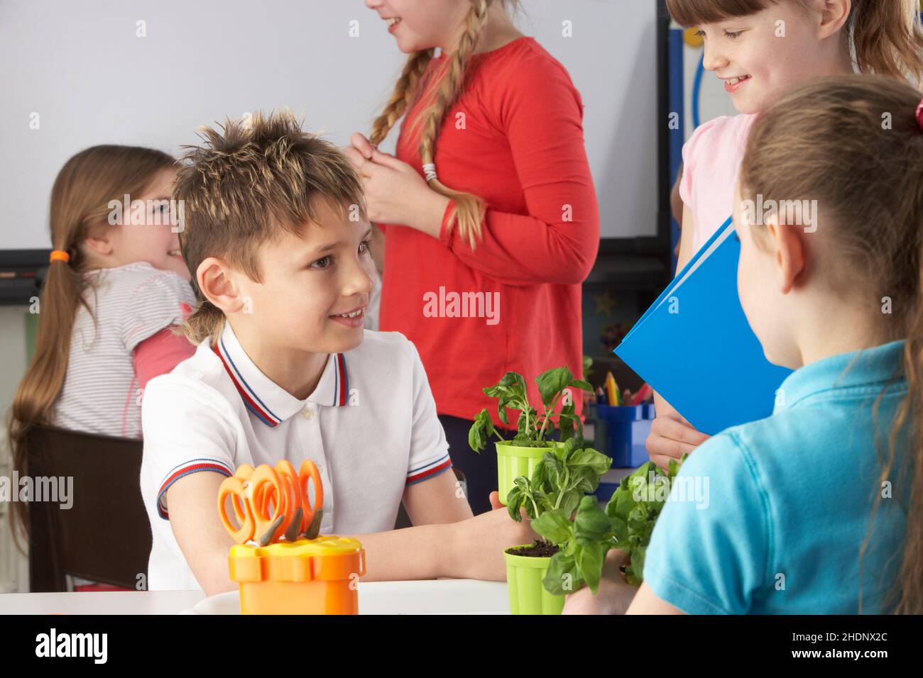 child, school, pupils, elementary school, biology lesson, children
