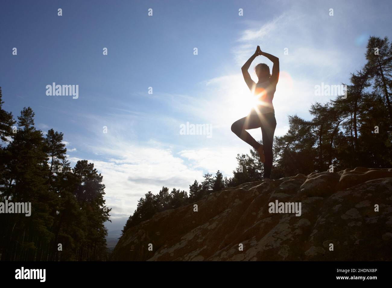 wellness & relax, balance, yoga, vrkshasana, spa treatment, wellness