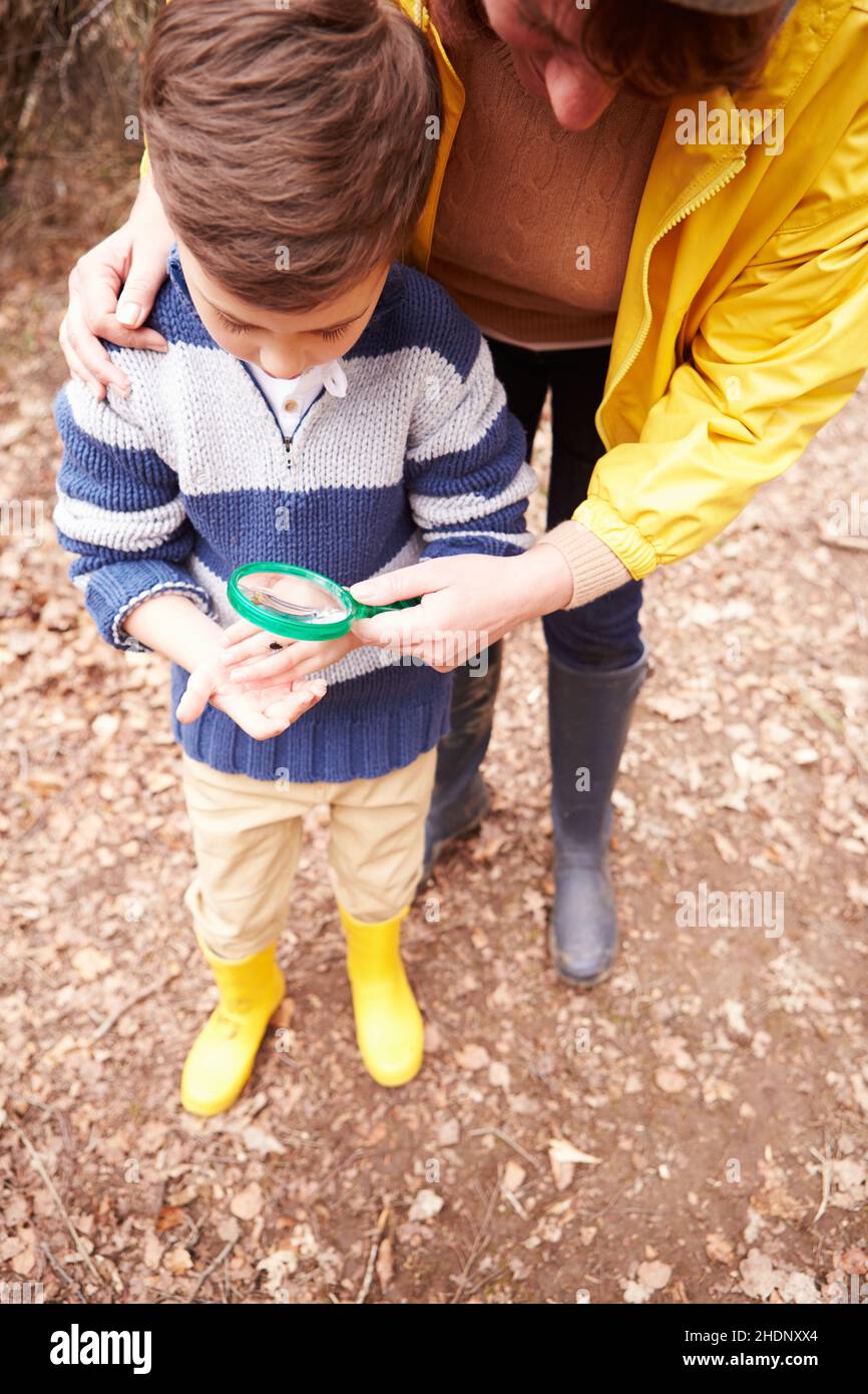 mother, insect, magnifying glass, son, mom, mothers, mum, insects, sons ...