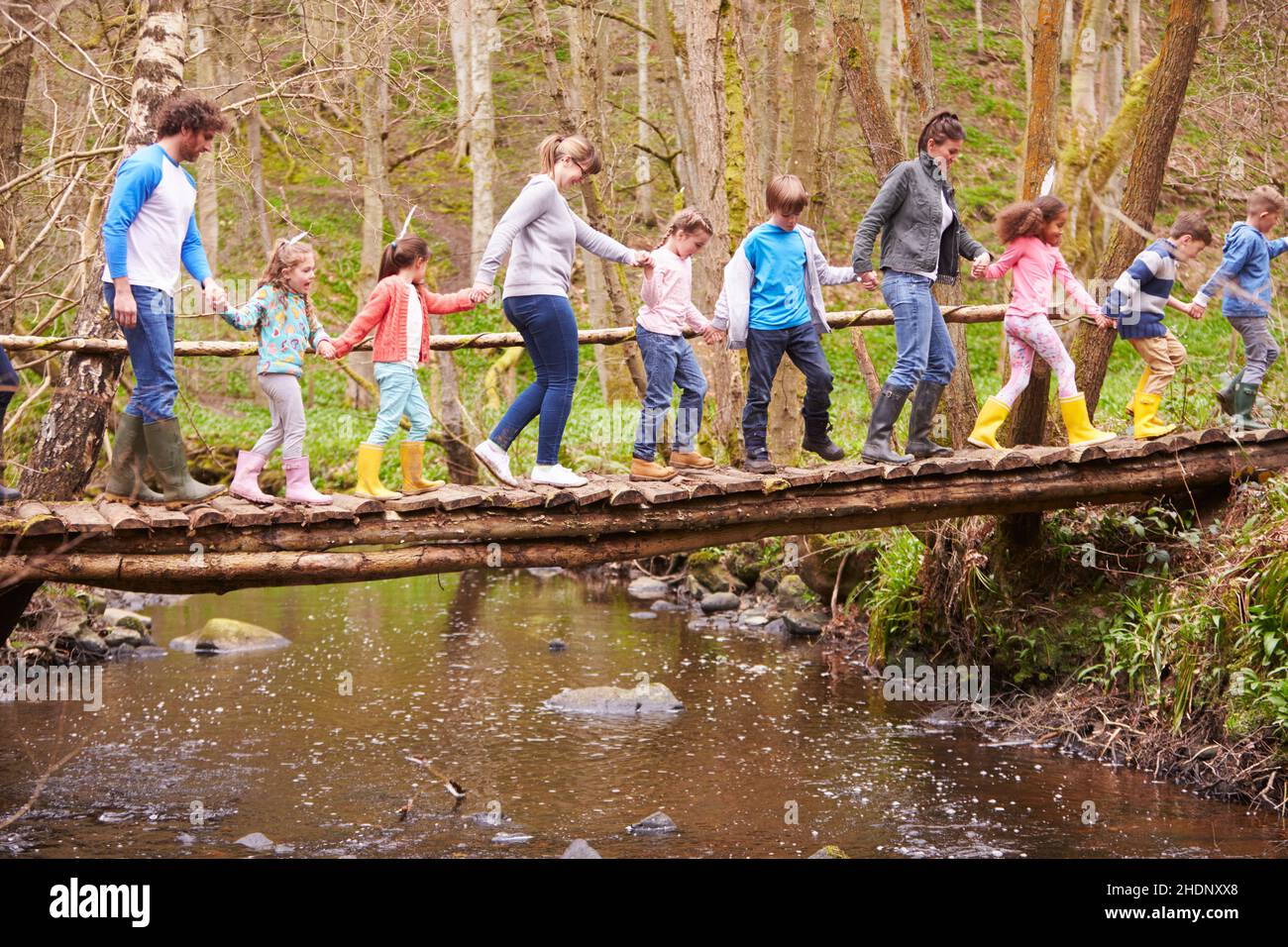 adults, children group, nature trail, adult, crowd, groups, nature
