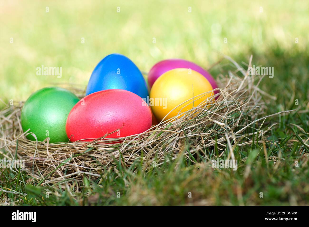 easter egg easter nest easter eggs easters Stock Photo Alamy