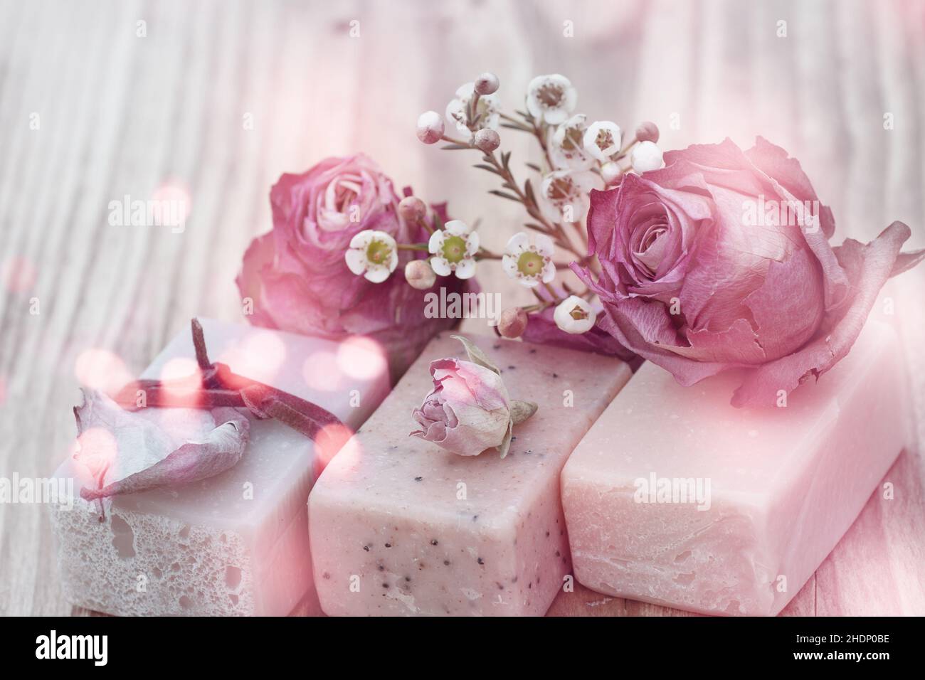 Square Soap Roses soap rose, soap roses Stock Photo - Alamy
