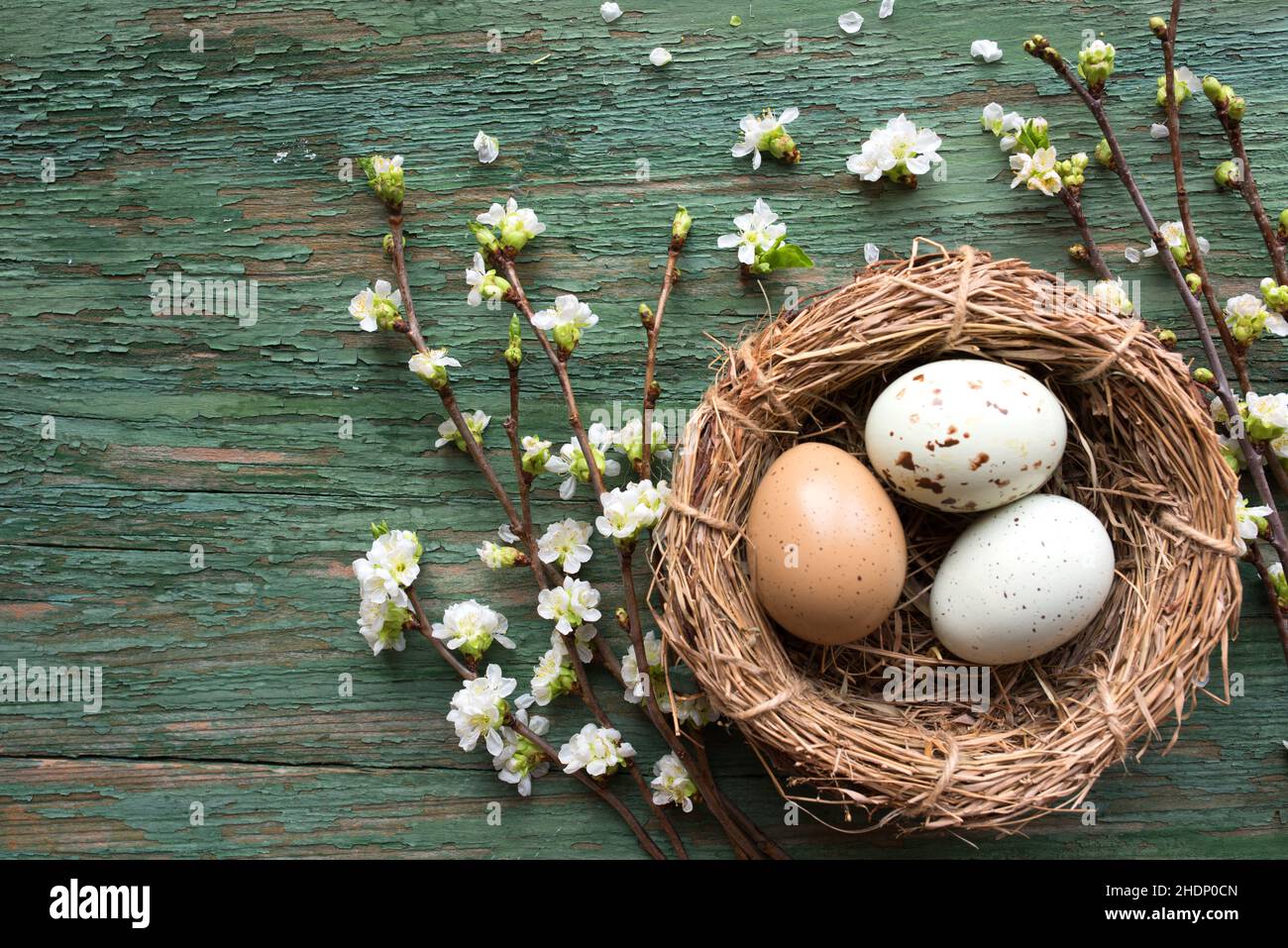 easter, easter nest, easter decoration, easters, easter decorations Stock Photo