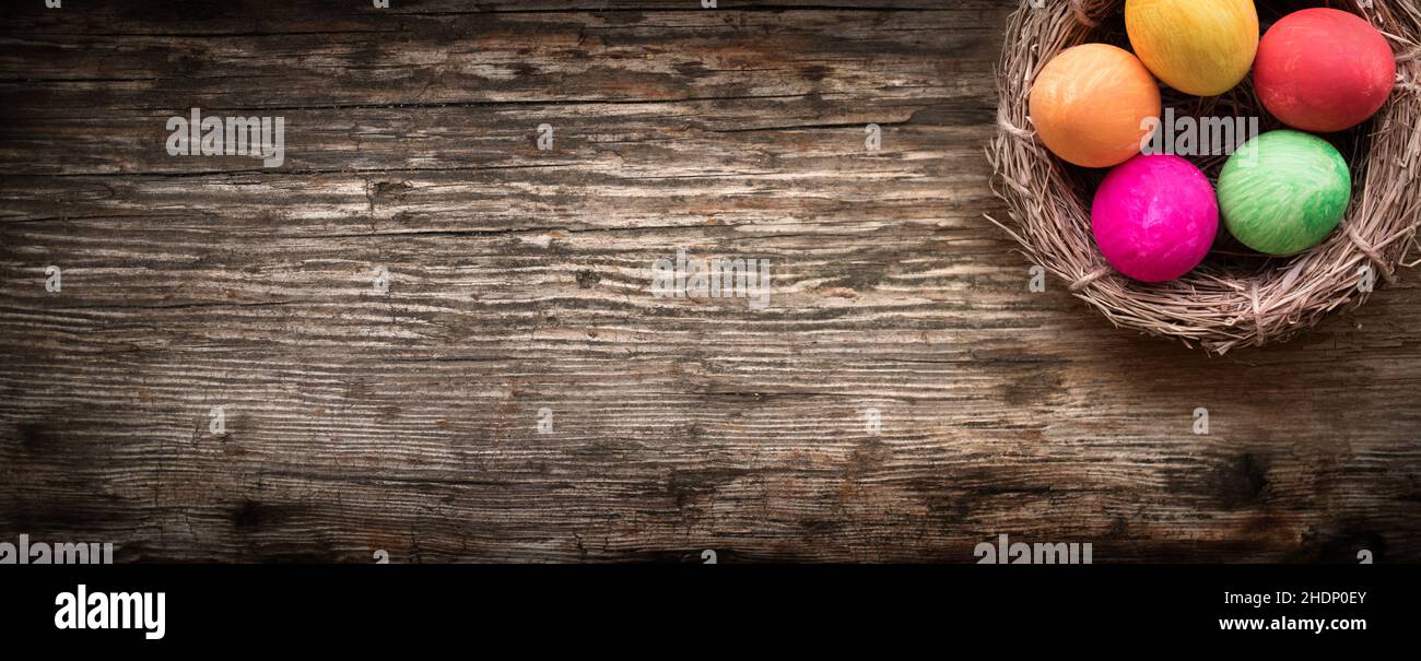 easter nest, easters Stock Photo