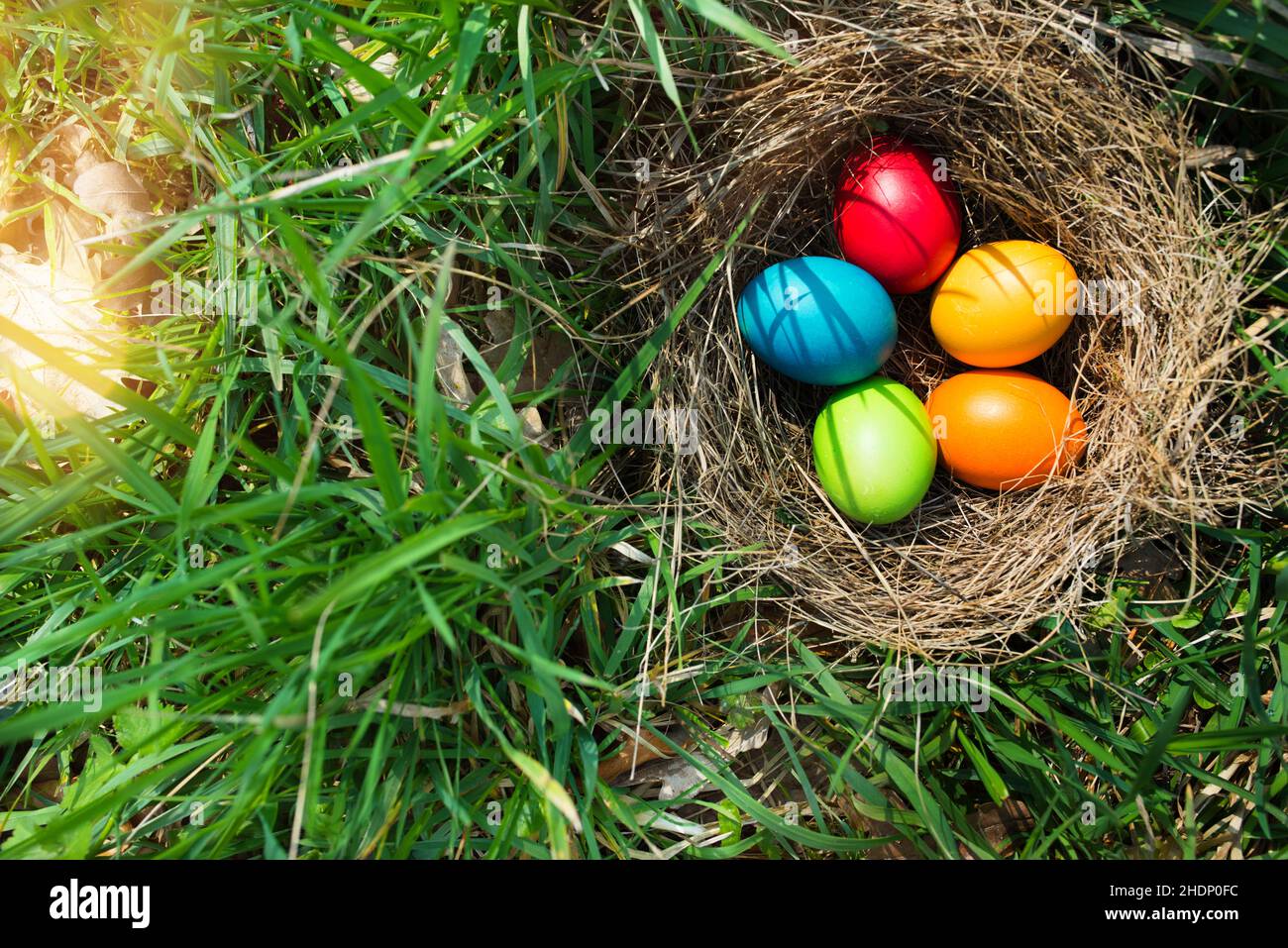 easter, easter nest, easter eggs, easters, easter egg Stock Photo