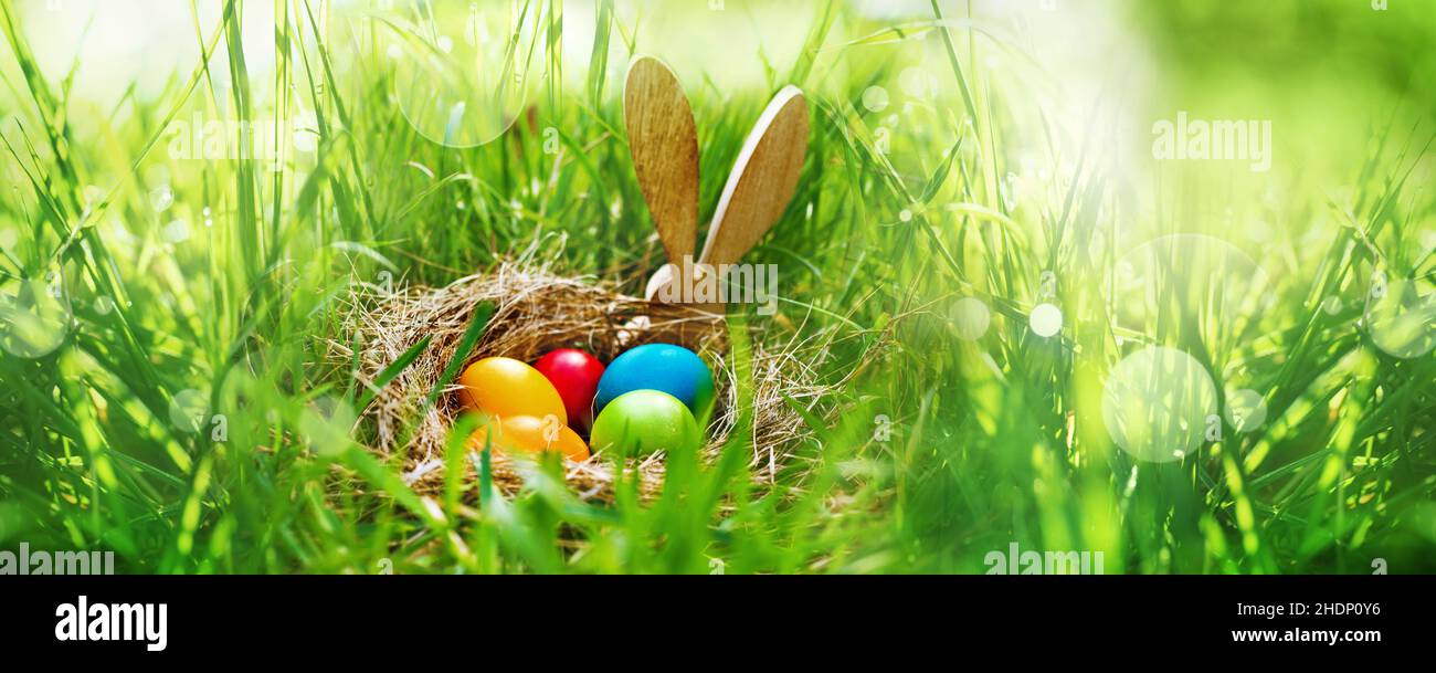 easter, easter nest, easter time, easters Stock Photo