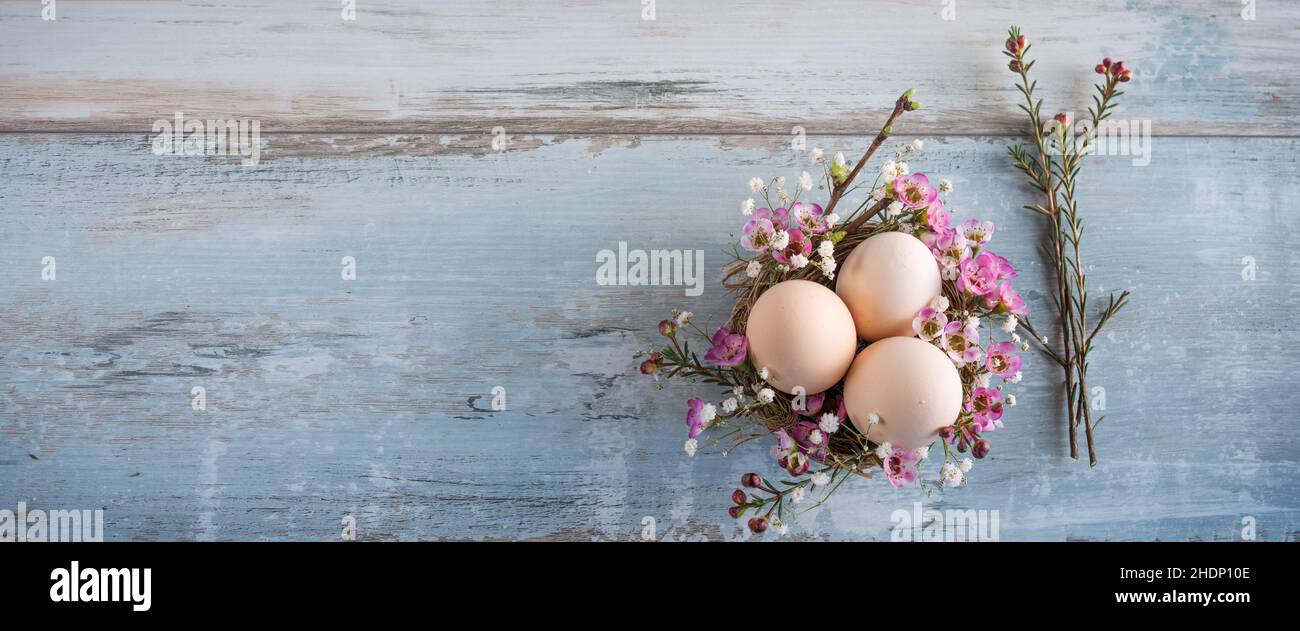 easter nest, easter decoration, easters, easter decorations Stock Photo
