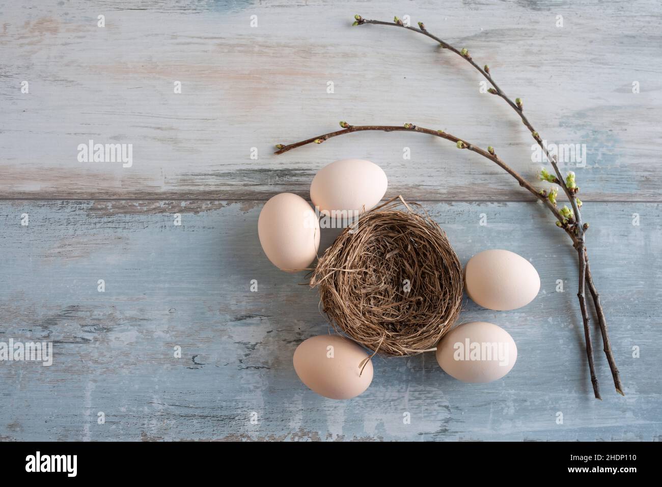 easter egg, easter nest, easter time, easter eggs, easters Stock Photo