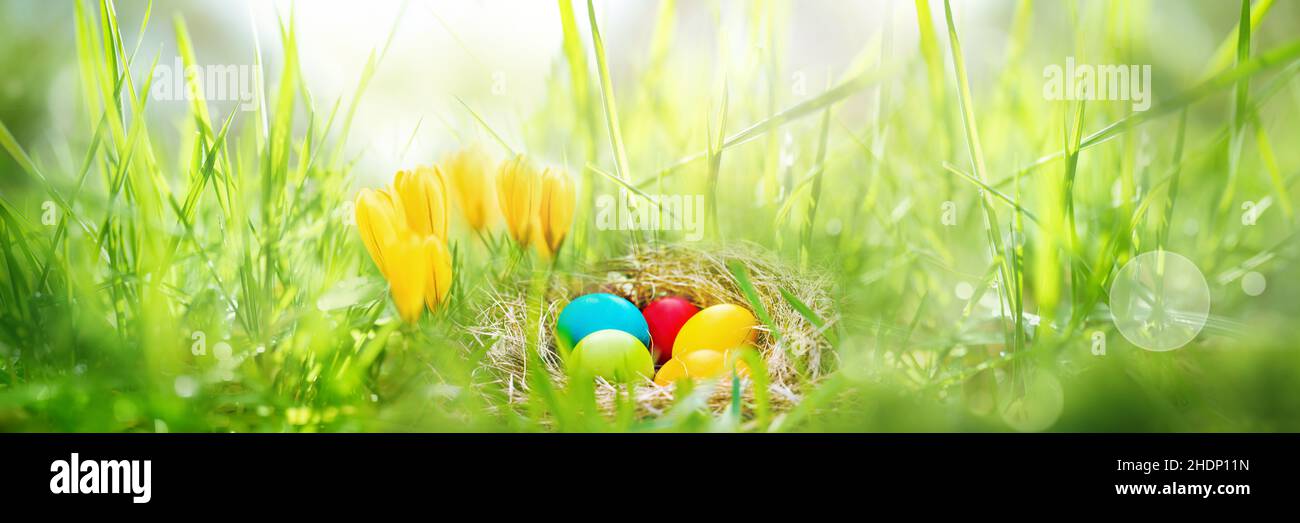 hiding, easter nest, hide, easters Stock Photo