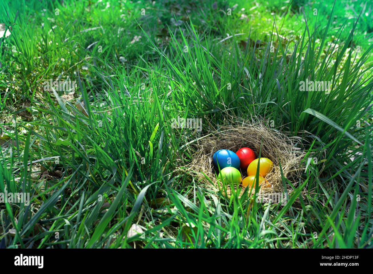 hiding, easter nest, easter eggs, hide, easters, easter egg Stock Photo