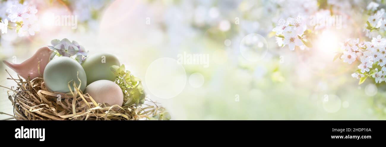 easter, easter nest, easter greeting, easter eggs, easter card, easters, easter egg, easter cards Stock Photo