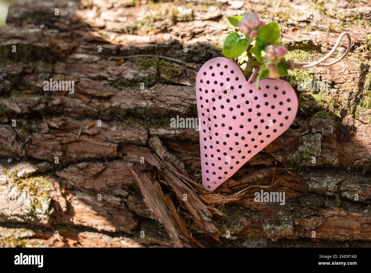 mothers day, cordially, heart shaped, mothers days, cordiallies, heart-shapeds Stock Photo