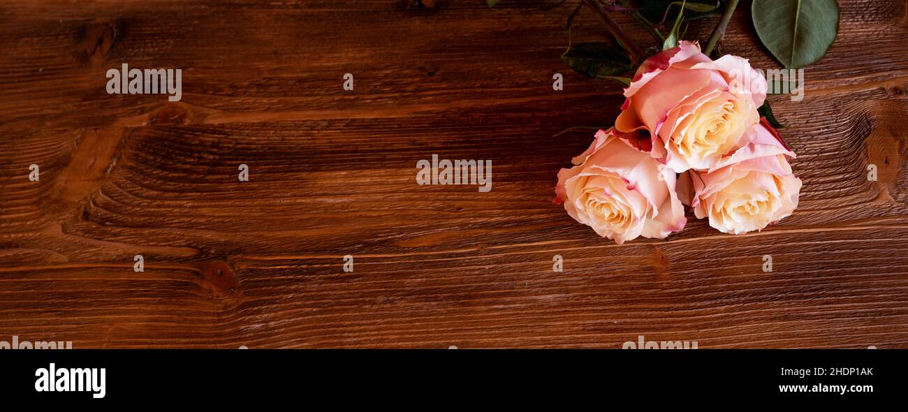 Retro vintage roses hi-res stock photography and images - Alamy