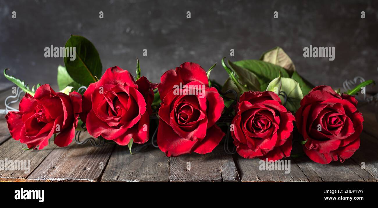 valentine, romantic, red roses, valentine's day, valentines, valentines