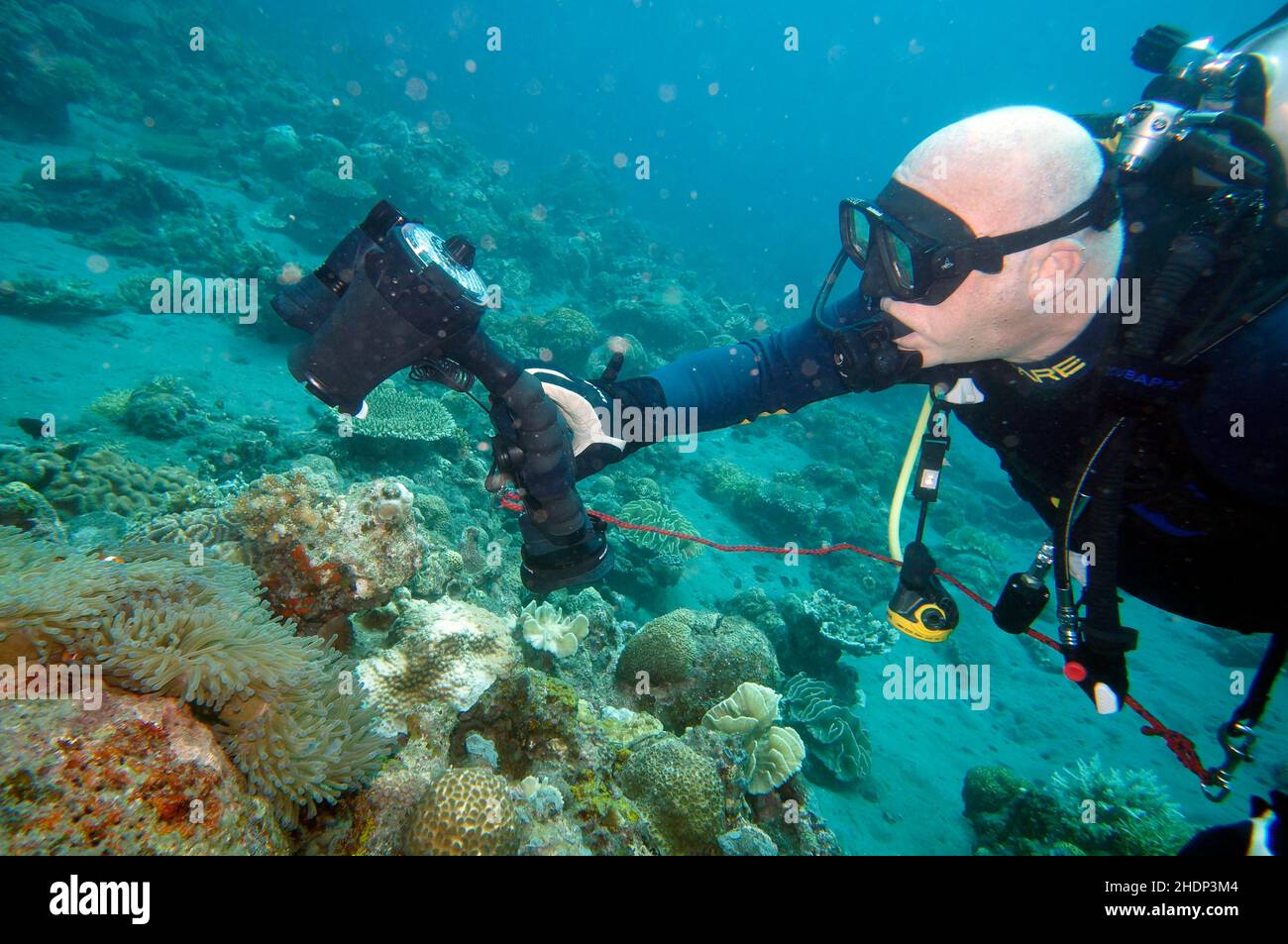 photograph, underwater photography, underwater photographer