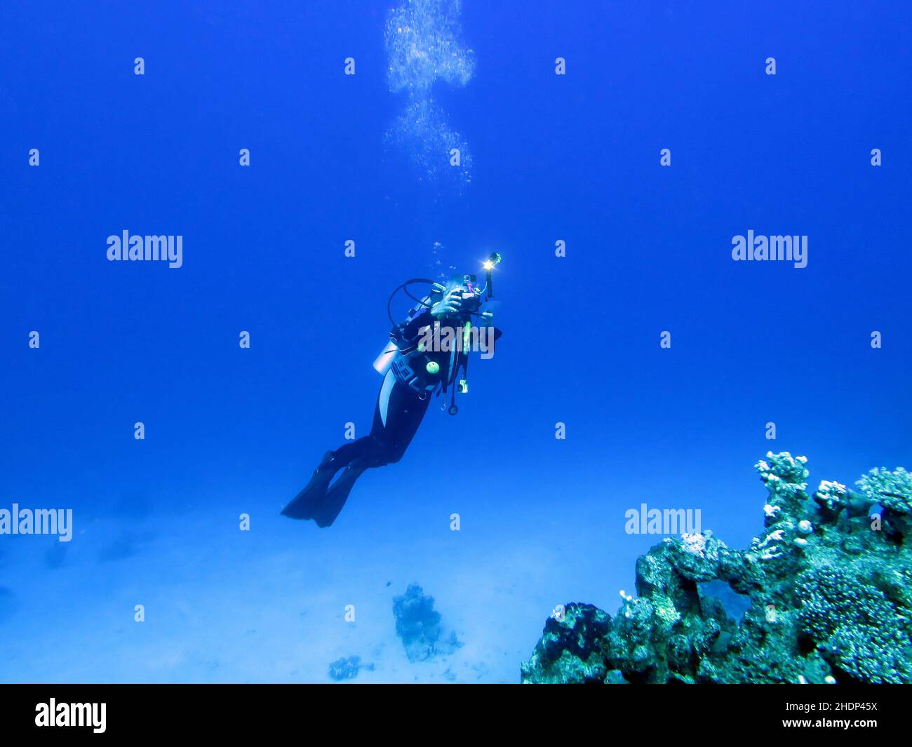 diver, photograph, underwater photographer, dive, divers, dives