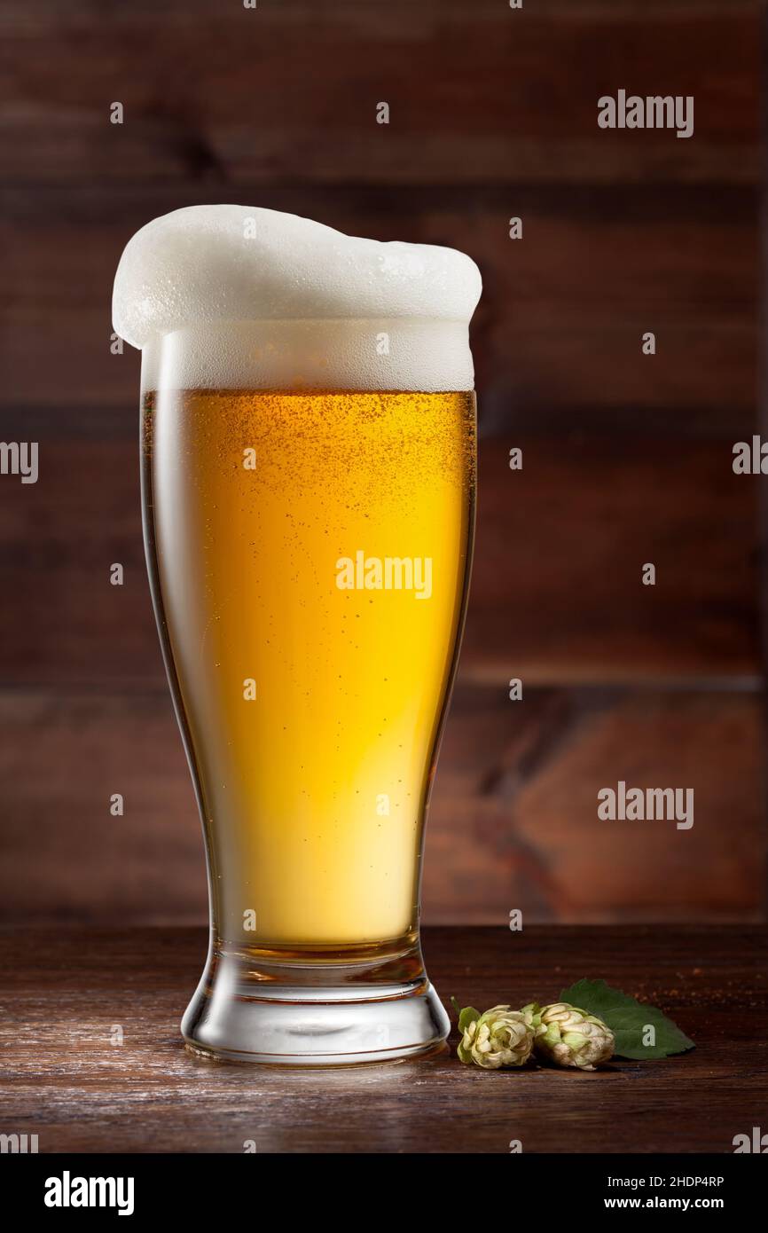 beer, beer foam, beers, beer foams Stock Photo Alamy