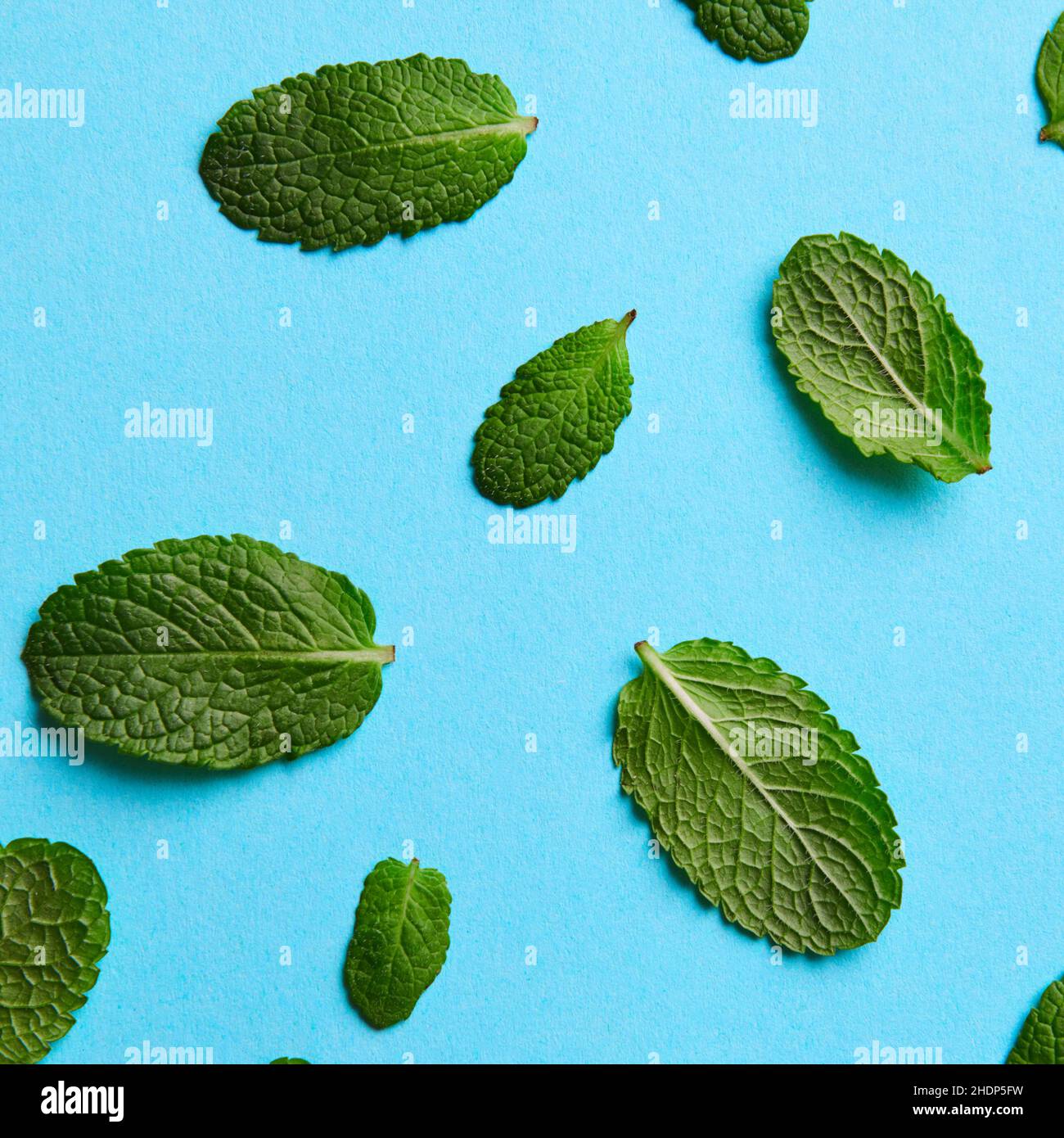 Square mints hires stock photography and images Alamy