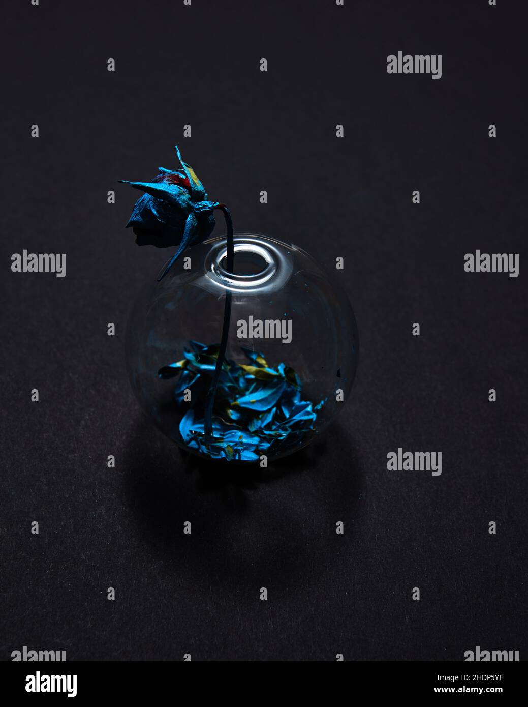 rose, art, withered, roses, arts, withereds Stock Photo - Alamy