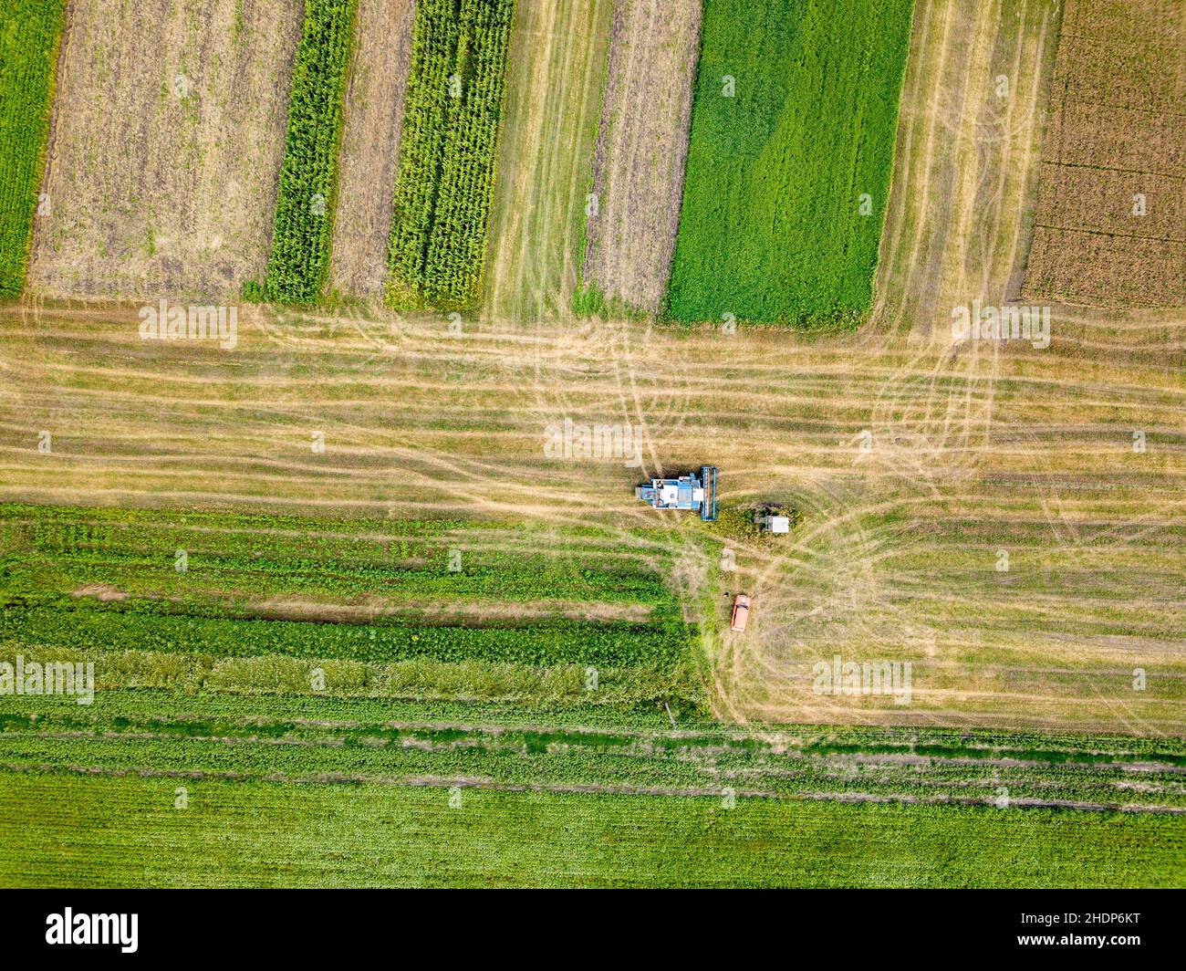 agriculture, field work, agricultures, field works Stock Photo Alamy
