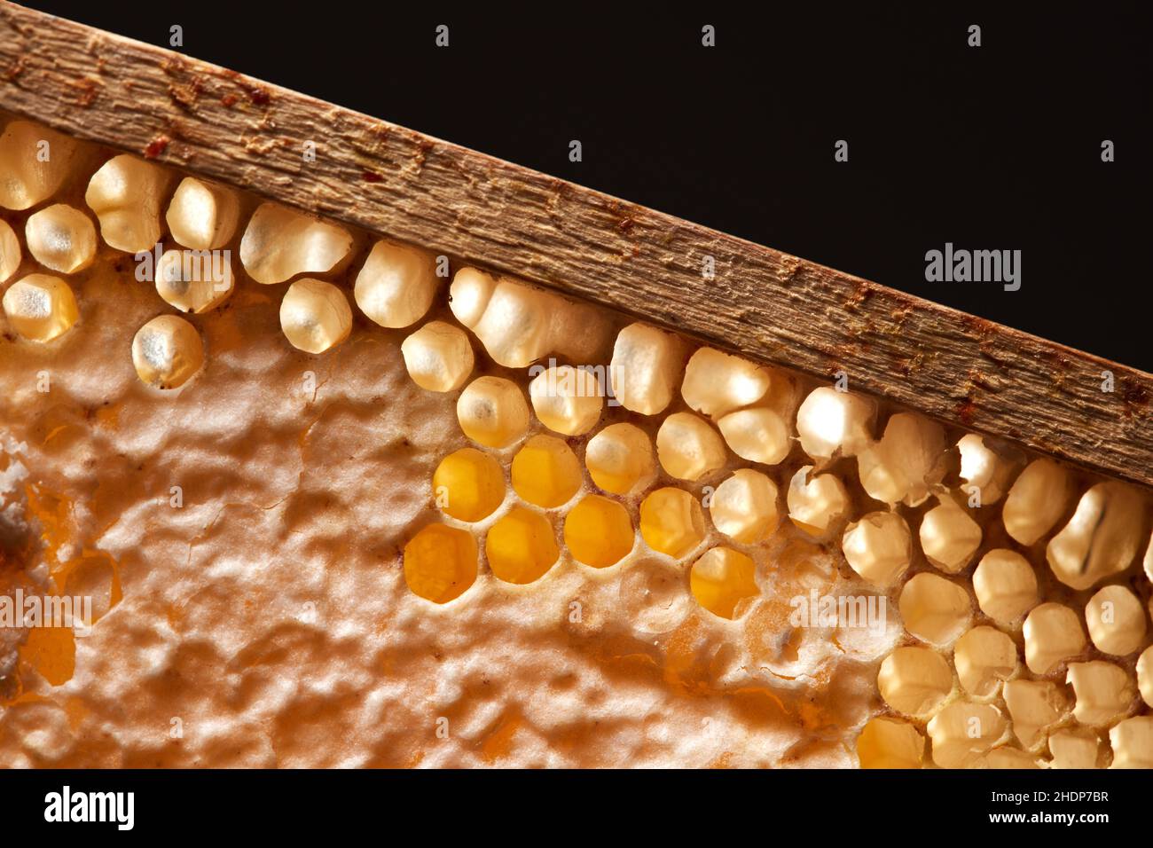 Black honeycomb pattern hi-res stock photography and images - Alamy