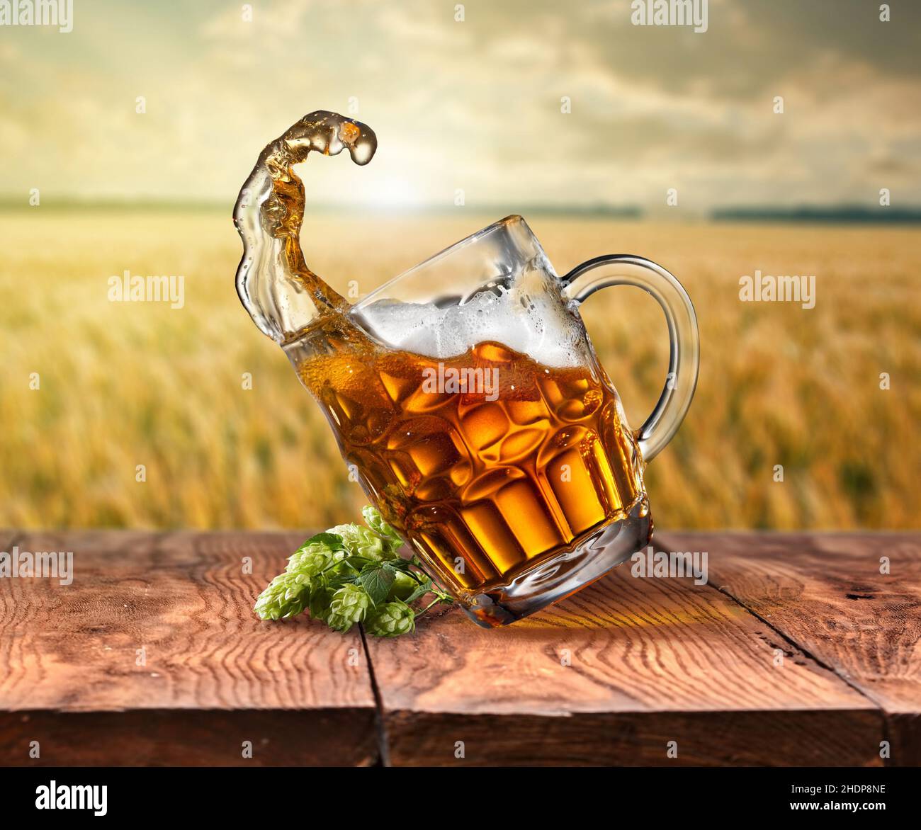 beer, hop, splash, wheat beer, beers, hops, spatter, splashes, wheat beers Stock Photo Alamy